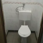 Kapi